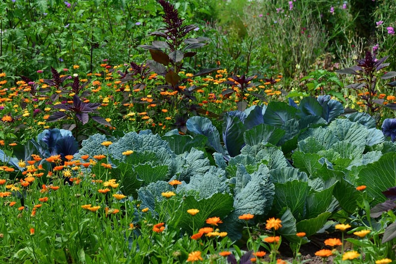 Hanging Herb Garden